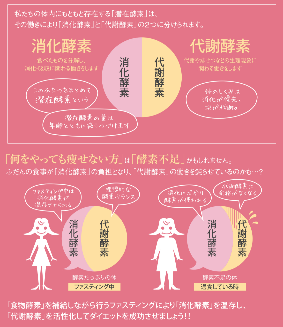 【痩せたい方へ~おすすめの食事を摂る時間割~】